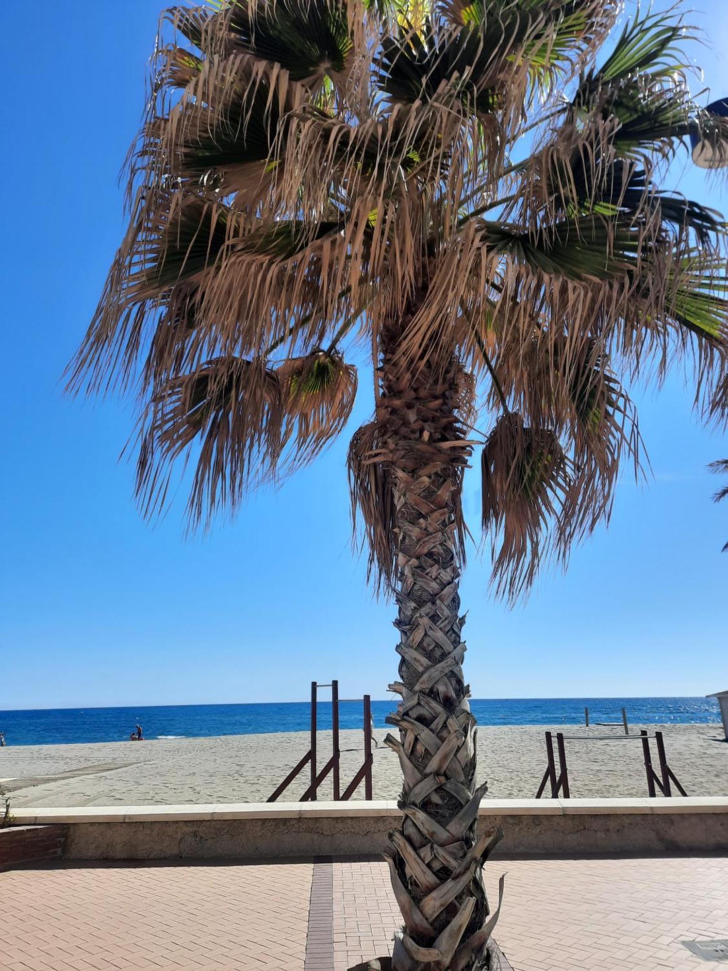 Fuengirola Apartment Carvajal Front Line Primera Linea 외부 사진